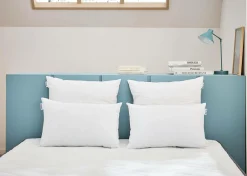 Camif Oreillers|Oreillers>BULTEX Lot de 2 oreillers moelleux - 60 x 60 cm