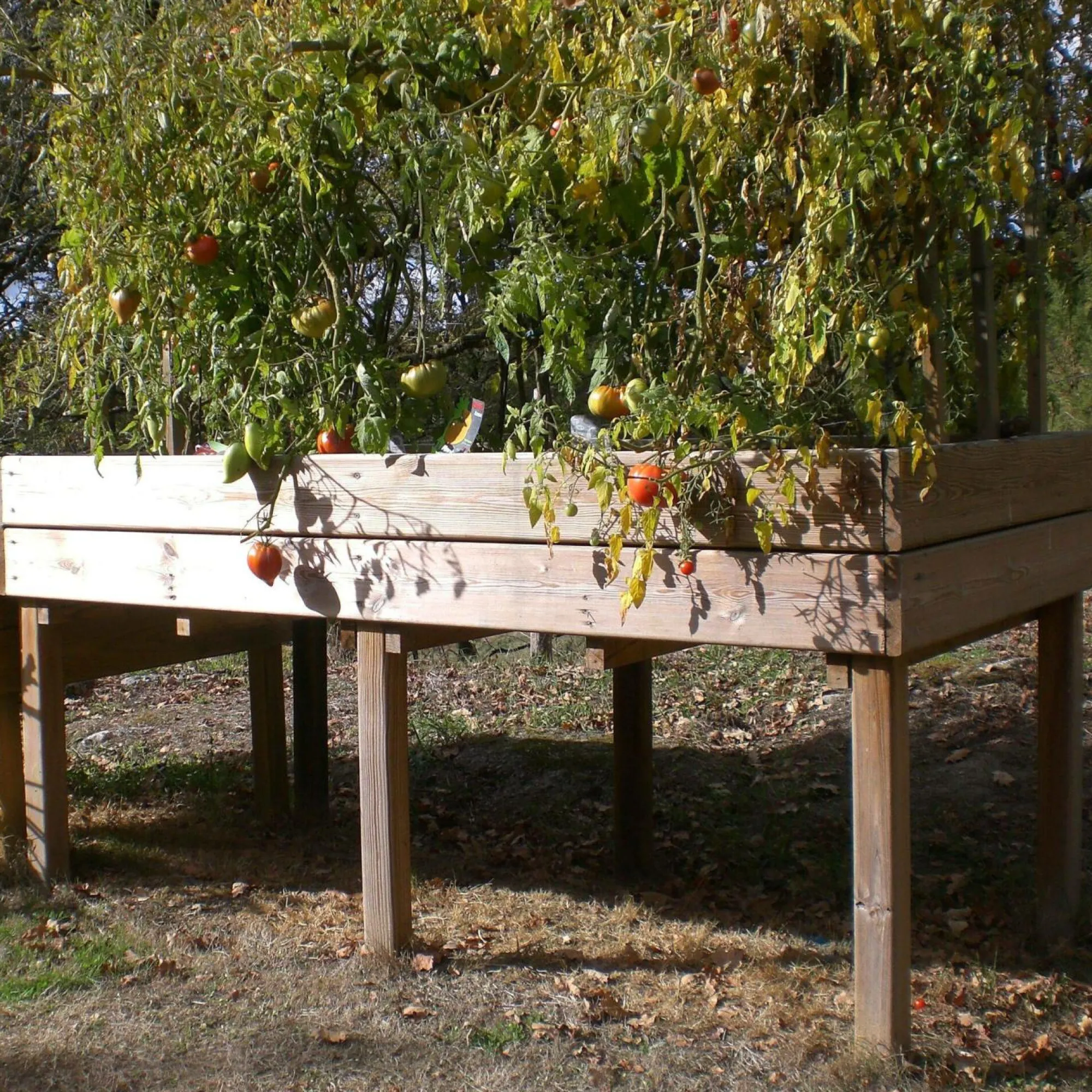 Camif Carrés De Potager>C.I.H.B. Table Potagère Rectangulaire 320 L en Bois Autoclave