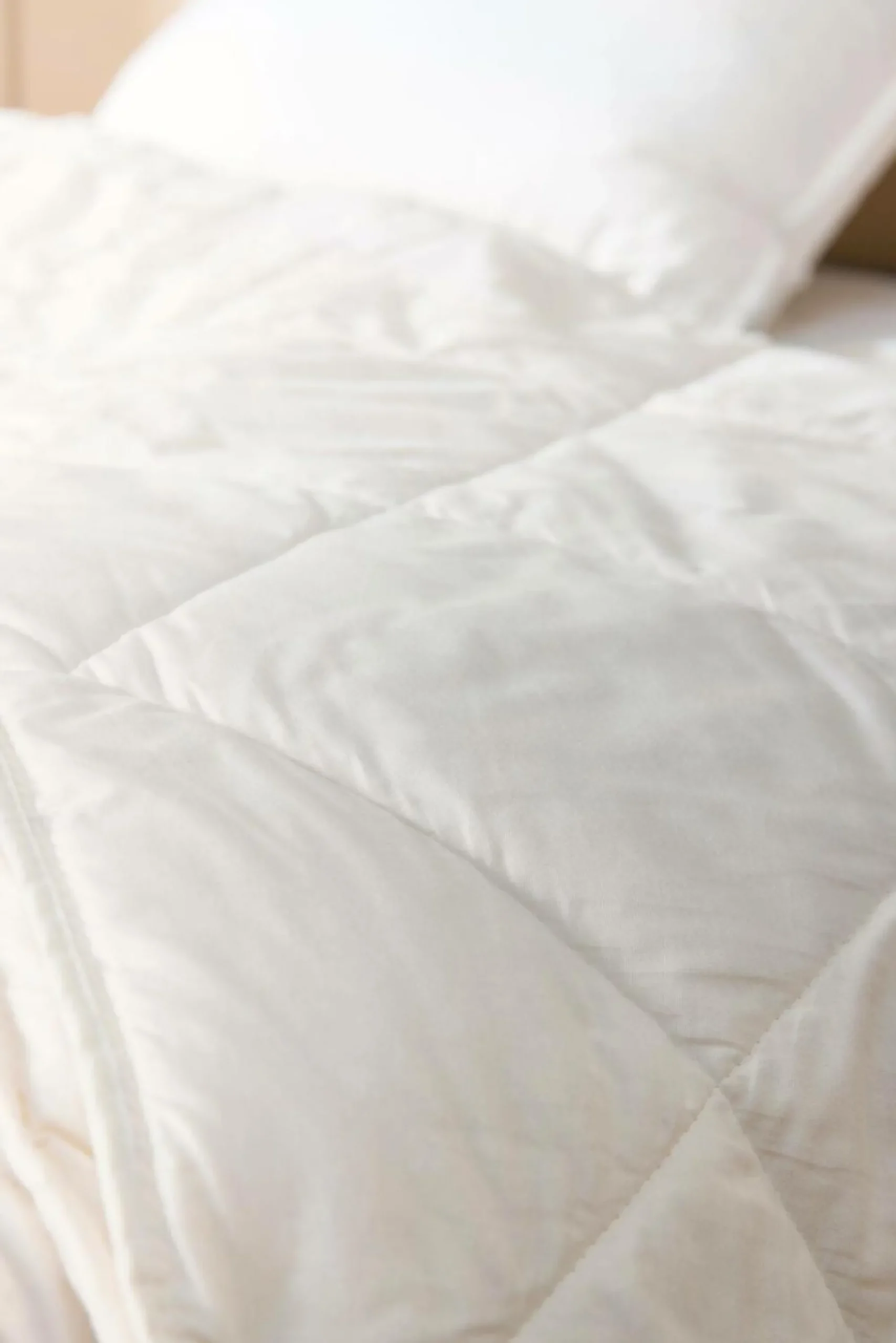 Camif Couettes|Couettes>Couette 4 saisons coton biologique Coline - 200 x 200 cm