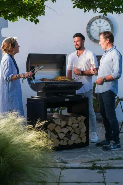 Camif Barbecues><noscript><img width=