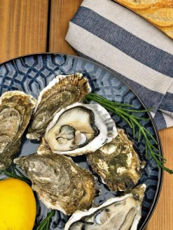 Camif Assiettes|Assiettes><noscript><img width=